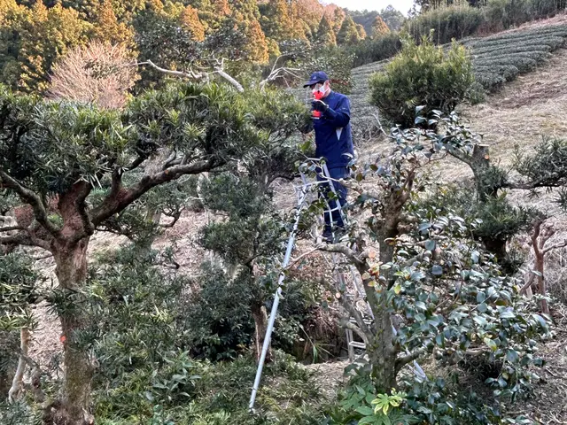 どんな人が来てくれるのか不安な貴方。ブログをご参照ください♪サービスの画像