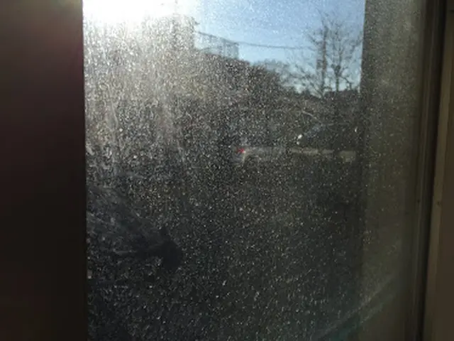 【受付中】窓ガラス、サッシが綺麗にピカピカ大作戦！サービスの画像