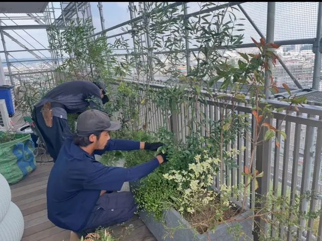 繊細な技術で細部までこだわって剪定させて頂きますサービスの画像