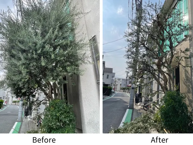 伸び放題の庭木、スッキリさせませんか？サービスの画像