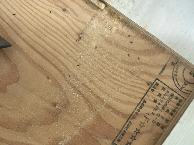 お客様のお力になります！経験と知識を活かして迅速丁寧に作業いたします！サービスの画像