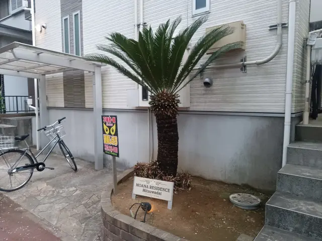 庭木や植栽の剪定は任せて下さい。サービスの画像