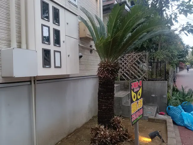 庭木や植栽の剪定は任せて下さい。サービスの画像