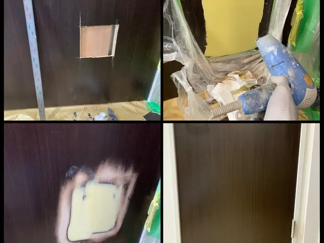 ペットドア取り付け（ワンちゃんやネコちゃんの通り道を室内ドアに取り付けます！）サービスの画像