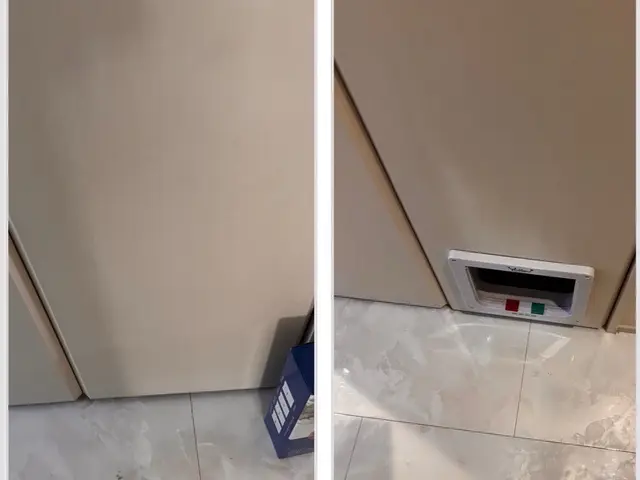 ペットドア取り付け（ワンちゃんやネコちゃんの通り道を室内ドアに取り付けます！）サービスの画像