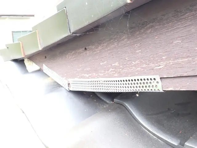 【業歴20年】ハクビシン・アライグマ・イタチ駆除｜再発防止まで対応サービスの画像