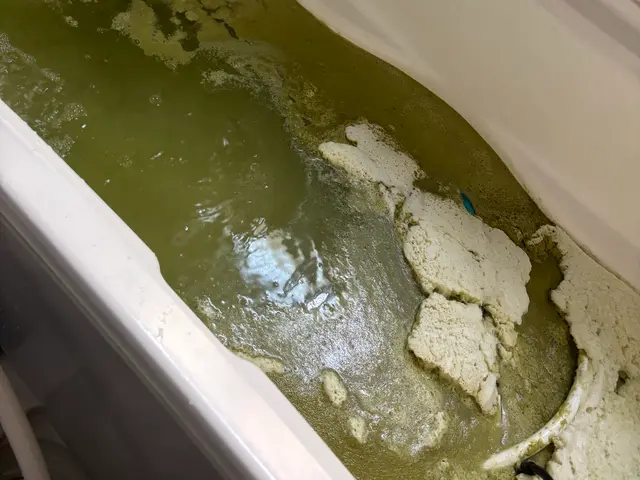 風呂釜配管洗浄サービスの画像