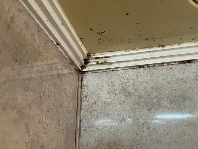 【口コミで選ばれてます】キレイにして気持ち良く入浴しましょう♫サービスの画像