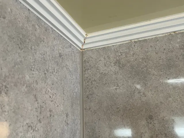 【口コミで選ばれてます】キレイにして気持ち良く入浴しましょう♫サービスの画像