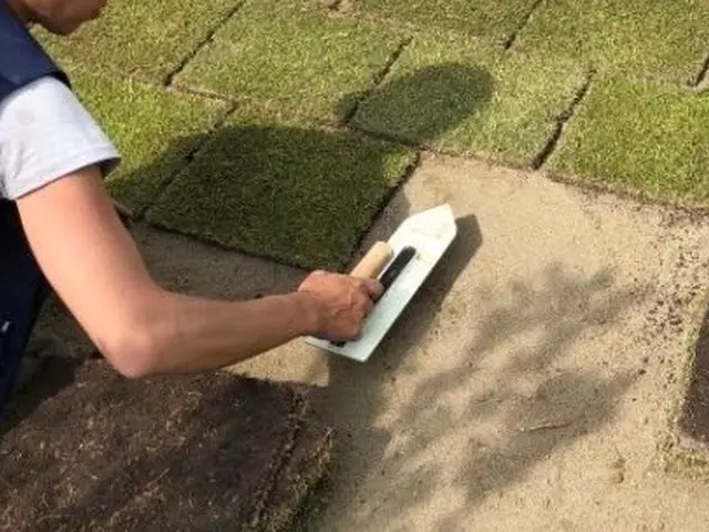 ●芝張り●女性スタッフ同行可能●代官山新築高級マンションの植栽作業の経験ありサービスの画像