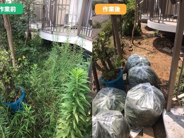 【東京・千葉・埼玉】除草剤込み！不用品回収もします！PayPay○早くて27日〜サービスの画像