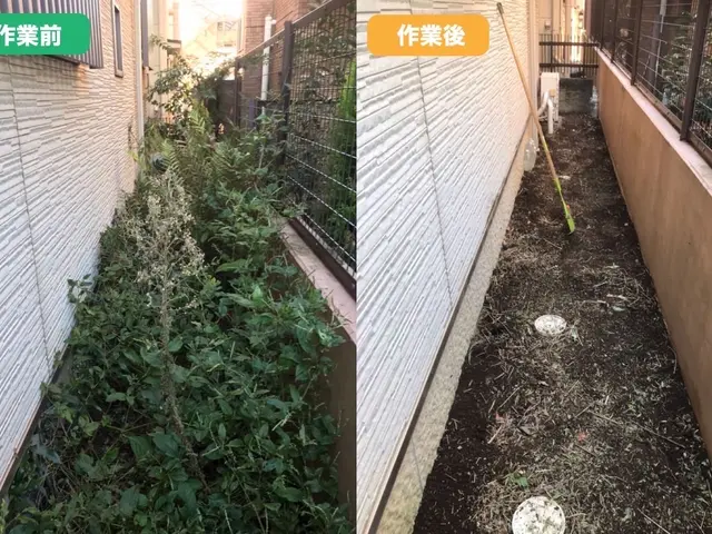 【東京・千葉・埼玉】除草剤込み！不用品回収もします！PayPay○早くて27日〜サービスの画像