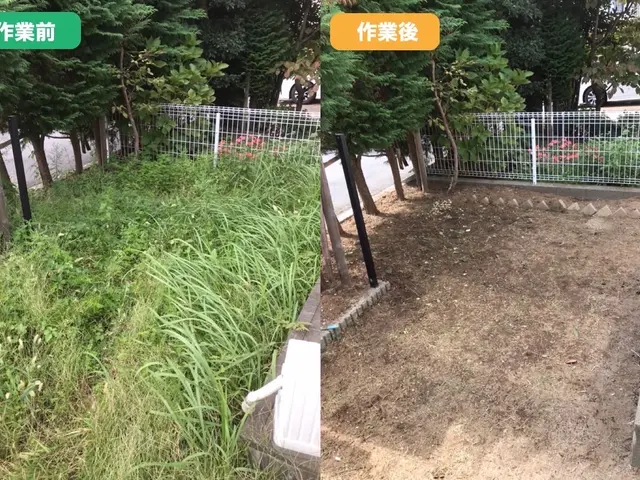 【東京・千葉・埼玉】除草剤込み！不用品回収もします！PayPay○早くて27日〜サービスの画像