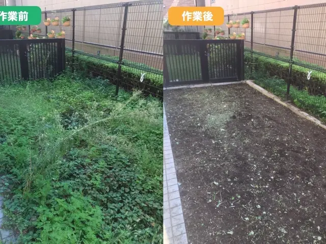 【東京・千葉・埼玉】除草剤込み！不用品回収もします！PayPay○早くて27日〜サービスの画像