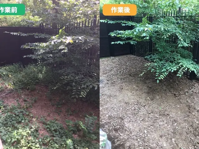 【東京・千葉・埼玉】除草剤込み！不用品回収もします！PayPay○早くて27日〜サービスの画像