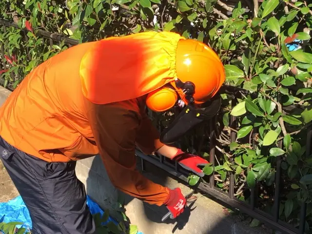 ◉親子でお伺い◉小さなお庭から集合住宅や不動産など、当日ご不在でもお受けします！サービスの画像