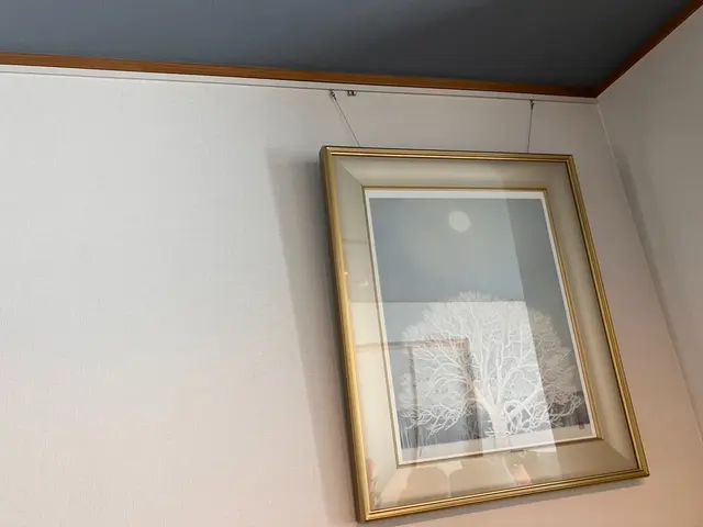 【学芸員資格アリ】ピクチャーレール取付！アートの取り扱いはお任せください！サービスの画像