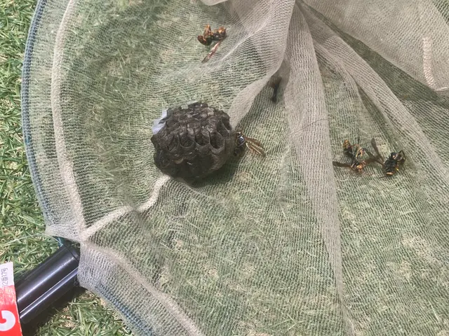 【実績1000件超】営業時間外も対応OK◎アフターフォローもばっちり対応サービスの画像