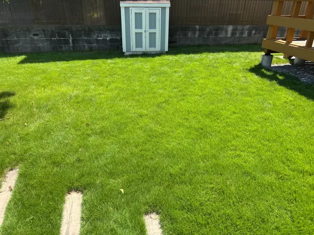 大手経験者による本物のプロの仕上げ！他を圧倒する美しい仕上がり。サービスの画像