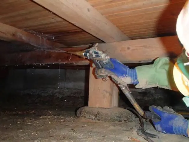 害虫撲滅キャンペーン中！【大手業務経験あり！】年中無休！サービスの画像