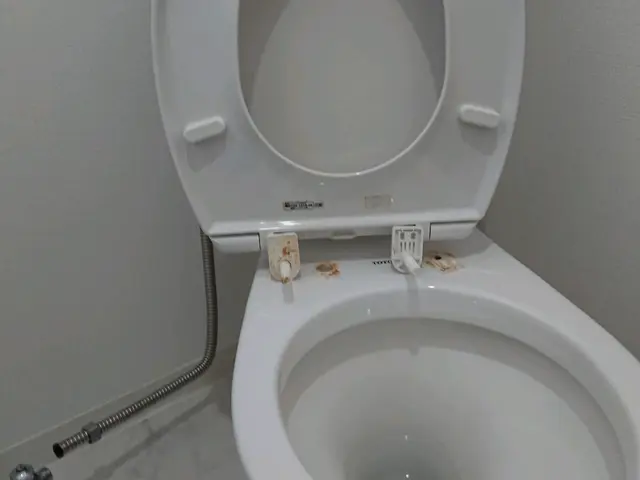 【業歴30年の実績】損害保険加入済み！女性スタッフ同行可！誠意を持って対応しますサービスの画像