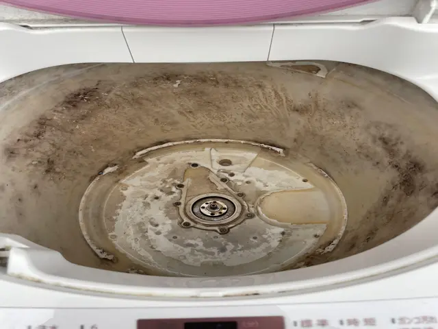 【土日祝日対応可】ピカピカ光る洗濯槽で気持ちよくお洗濯♪サービスの画像