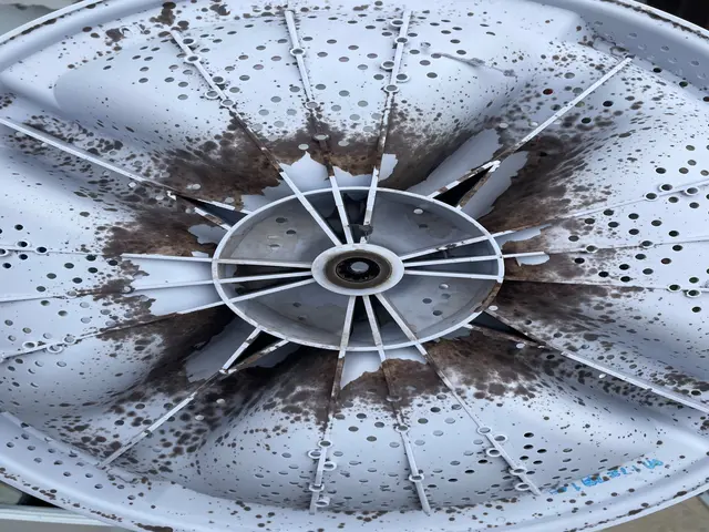 【土日祝日対応可】ピカピカ光る洗濯槽で気持ちよくお洗濯♪サービスの画像