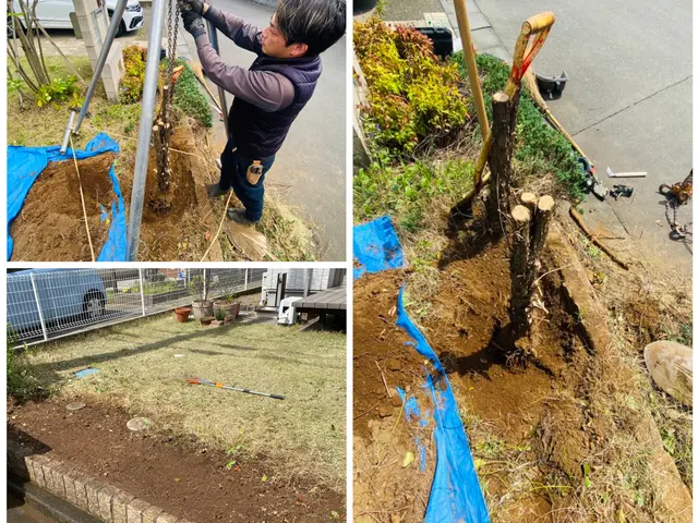★高木伐採/特殊伐採なら弊社へ★ お客様のご予算に合わせたご提案致します･:*+サービスの画像