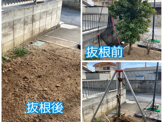 ★高木伐採/特殊伐採なら弊社へ★ お客様のご予算に合わせたご提案致します･:*+サービスの画像