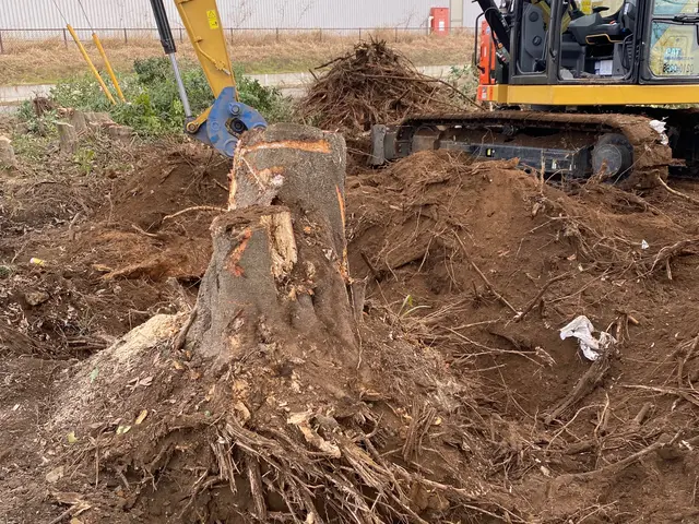 ★高木伐採/特殊伐採なら弊社へ★ お客様のご予算に合わせたご提案致します･:*+サービスの画像