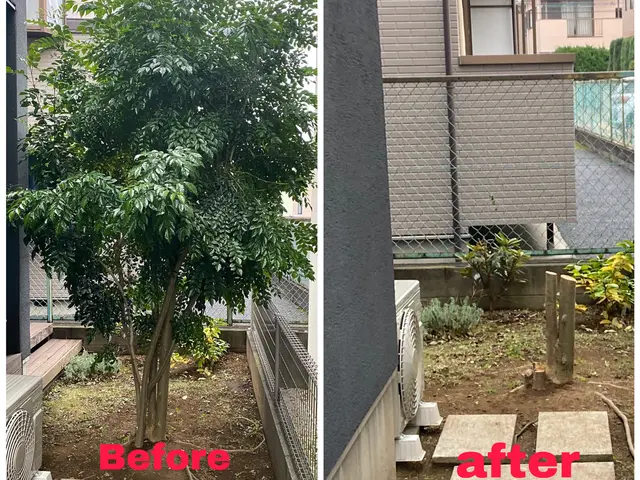 ★高木伐採/特殊伐採なら弊社へ★ お客様のご予算に合わせたご提案致します･:*+サービスの画像