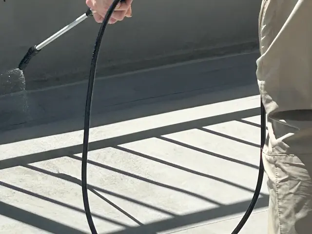 元大手経験者が駆け付ける！女性スタッフ同行対応の害虫解決サービスサービスの画像