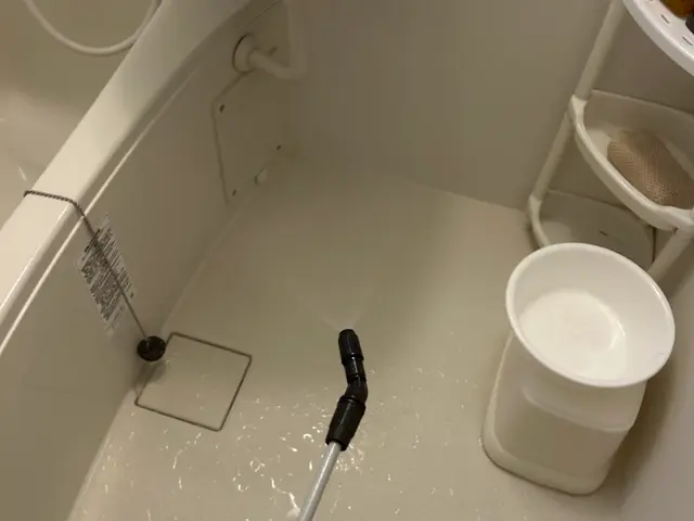 元大手経験者が駆け付ける！女性スタッフ同行対応の害虫解決サービスサービスの画像