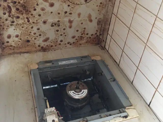 大手で業務経験のあるスタッフがお伺いします！損害保険加入済み◎全て自社対応！！サービスの画像