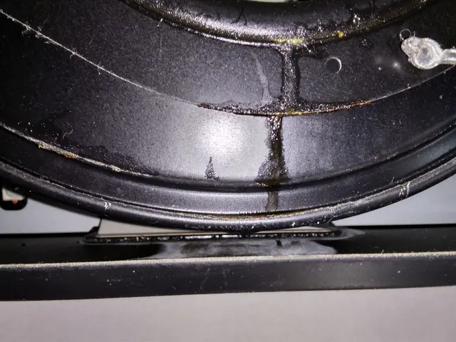 あの【がっちりマンデー！！】で紹介された、急成長のFC「おそうじ革命」です！サービスの画像