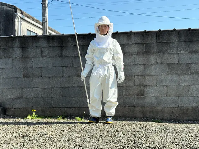 令和7年10月出店◎安心・丁寧な駆除｜戻り蜂対策も徹底【焼津市、藤枝市、静岡市】サービスの画像
