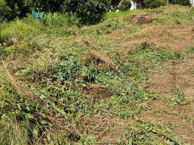 ◎年中無休◎自社スタッフがお伺いします◎営業時間外も対応可能サービスの画像