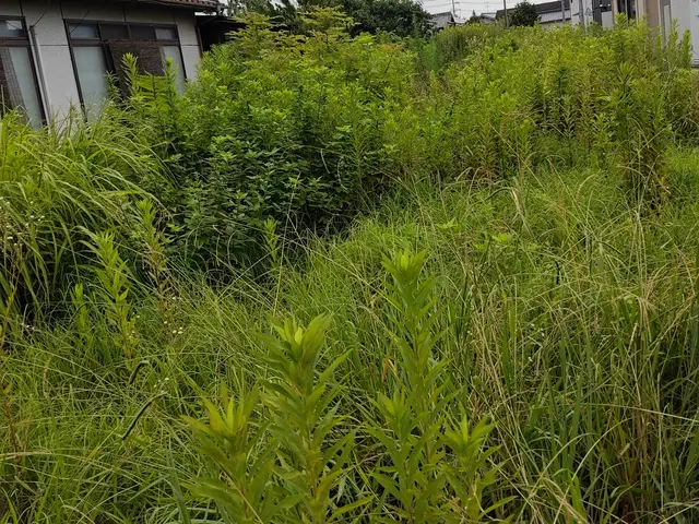 ◎年中無休◎自社スタッフがお伺いします◎営業時間外も対応可能サービスの画像