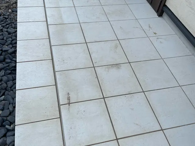 お客様の要望に応える玄関タイルクリーニングサービスの画像