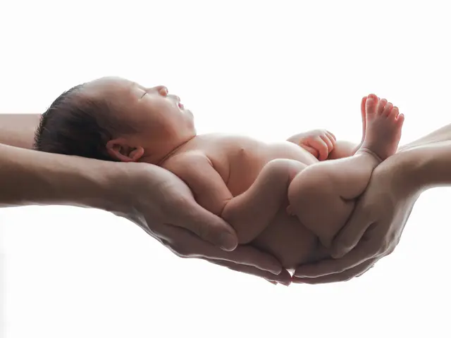 【函館地域密着！】ニューボーンフォト専門カメラマン♩