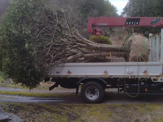 仙台市発【職人歴15年の経験と実績】年中無休！駐車代お店負担！サービスの画像