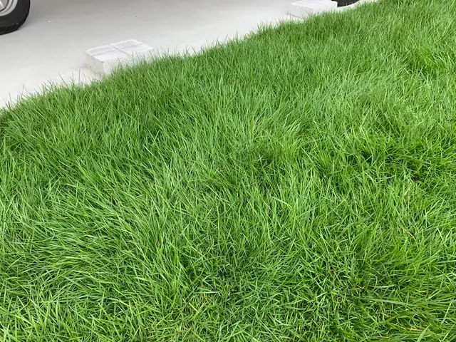 <美しいお庭空間を>天然芝、人工芝、防草シート、全て対応しています！サービスの画像