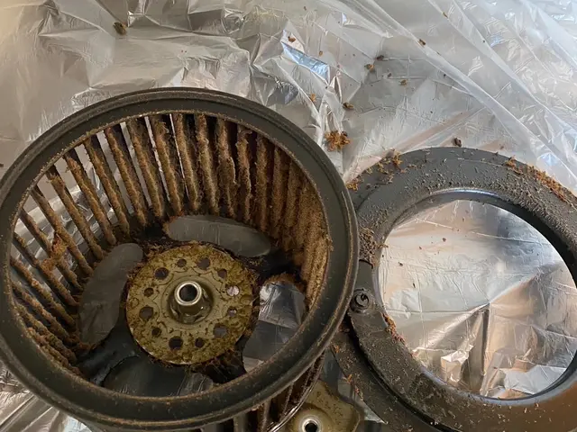 お得です☆☆油汚れをスッキリしましょう！サービスの画像