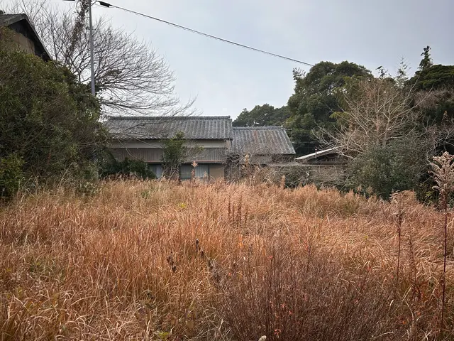 手入れが行き届かない場所の草刈りサービスの画像