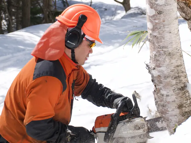 『思い入れのある庭木を剪定して木工品に』あなたの大切な庭木を形として残せます！サービスの画像