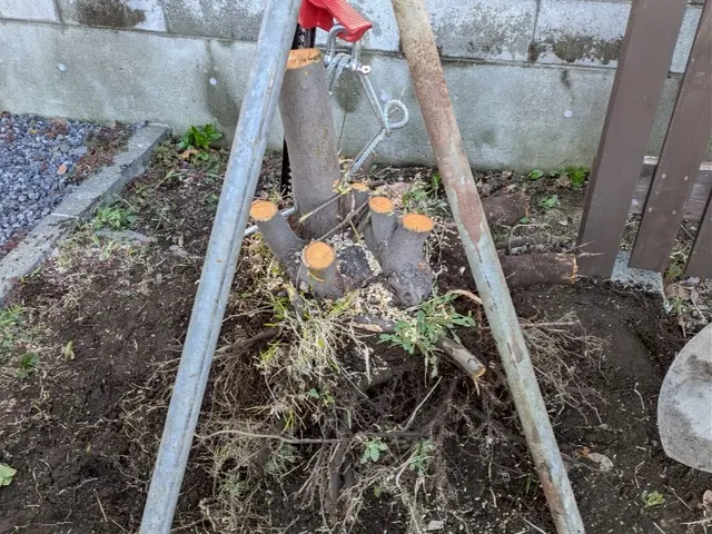 『思い入れのある庭木を剪定して木工品に』あなたの大切な庭木を形として残せます！サービスの画像