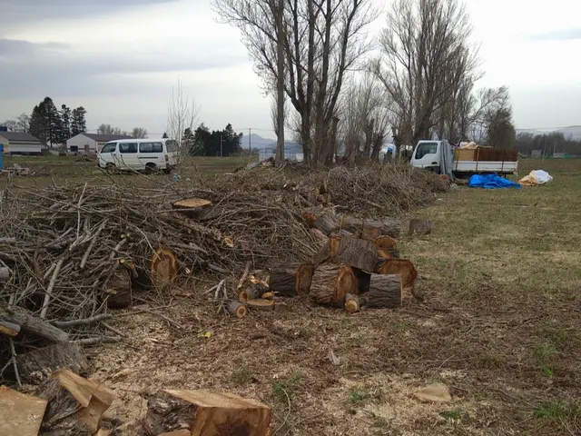 『思い入れのある庭木を剪定して木工品に』あなたの大切な庭木を形として残せます！サービスの画像