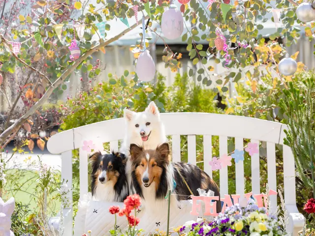 動物大好き女性フォトグラファーがあなたのペットを撮影いたします