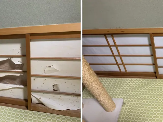 襖･障子･和室･畳　日本の文化を大切に守ります。張替え新調お任せください。サービスの画像