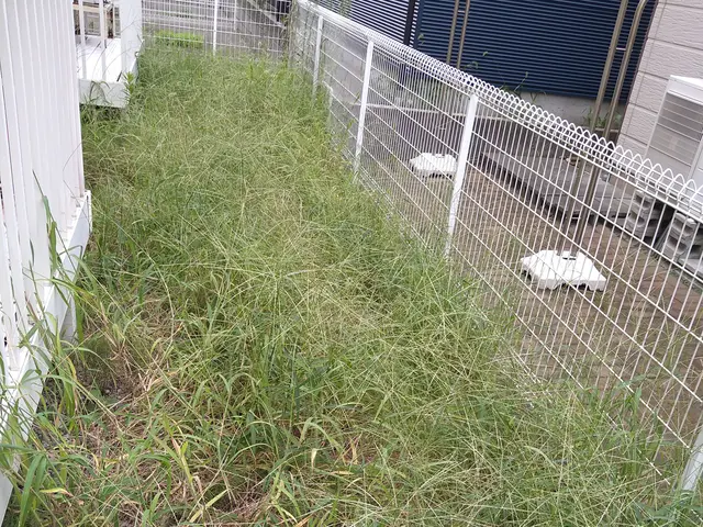 女性スタッフの派遣や同行も可能◎親切・丁寧に対応いたします。サービスの画像